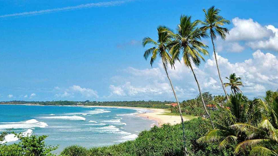 Best of Sri Lanka in Cultural Sites, Tea Hills & Beaches