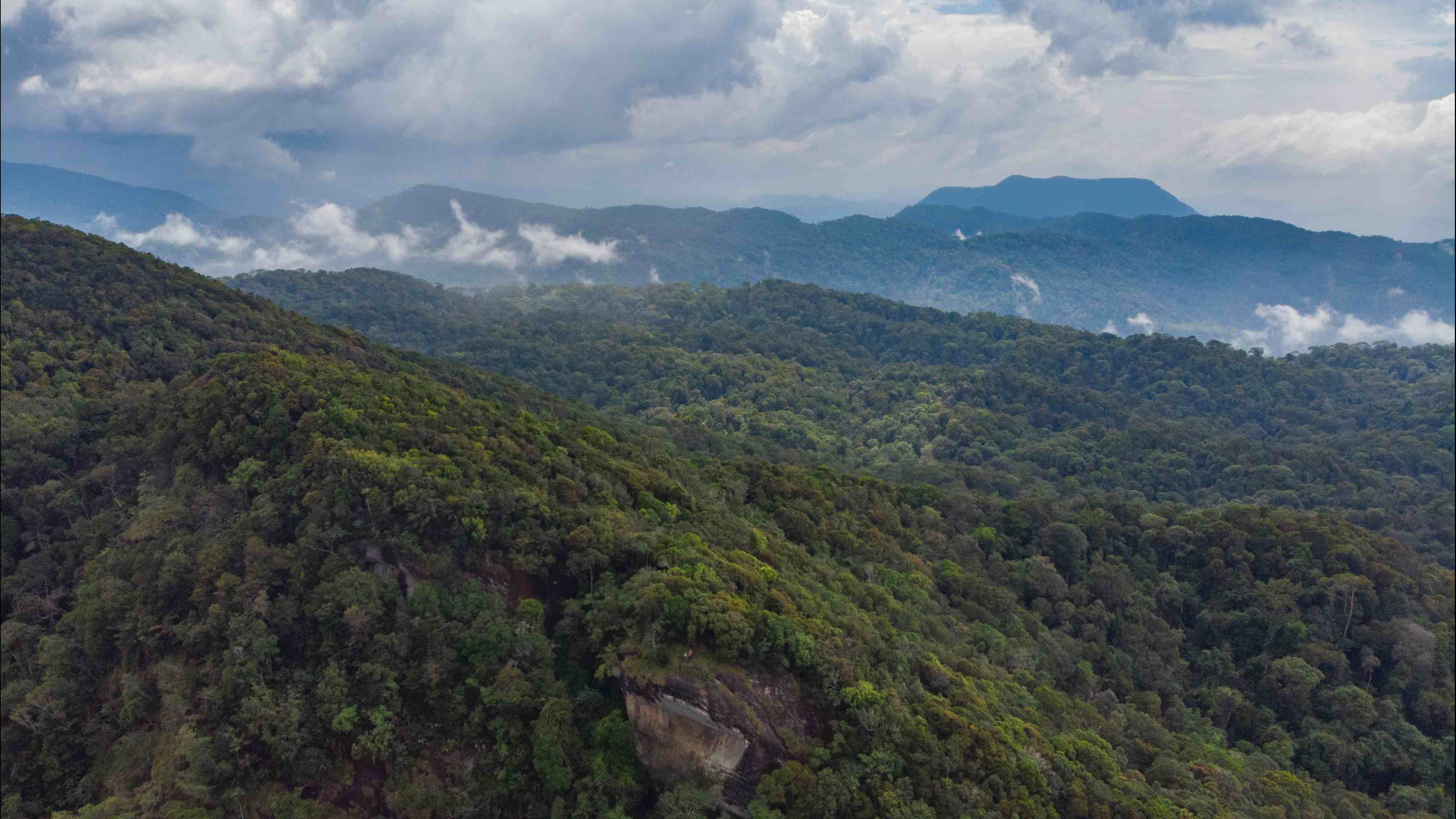 Sri Lanka Holidays Sinharaja Explortion Tour Package