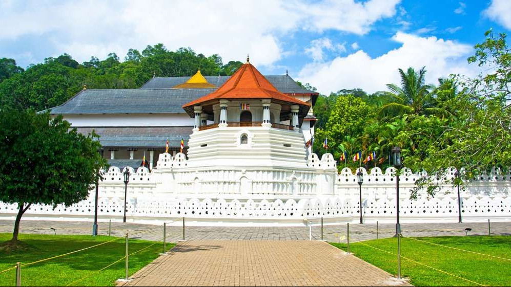 Sri Lanka Nature Tour Package Wildlife & Garden Escape