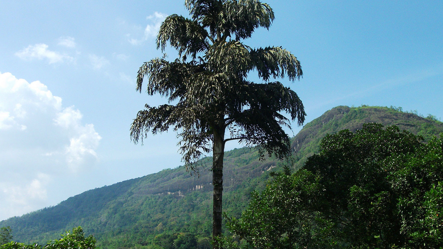 Kalawana