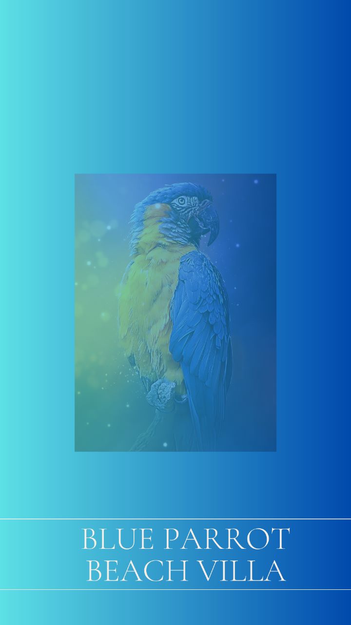 Blue parrot 2025 phone number