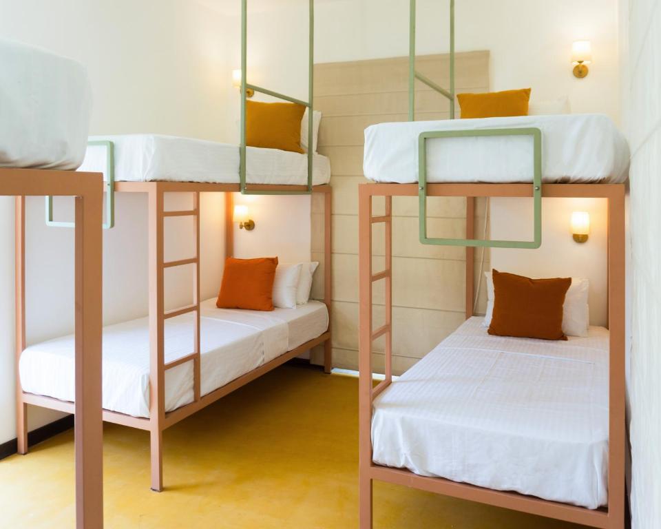 Bed in 6-Bed Mixed Dormitory Room