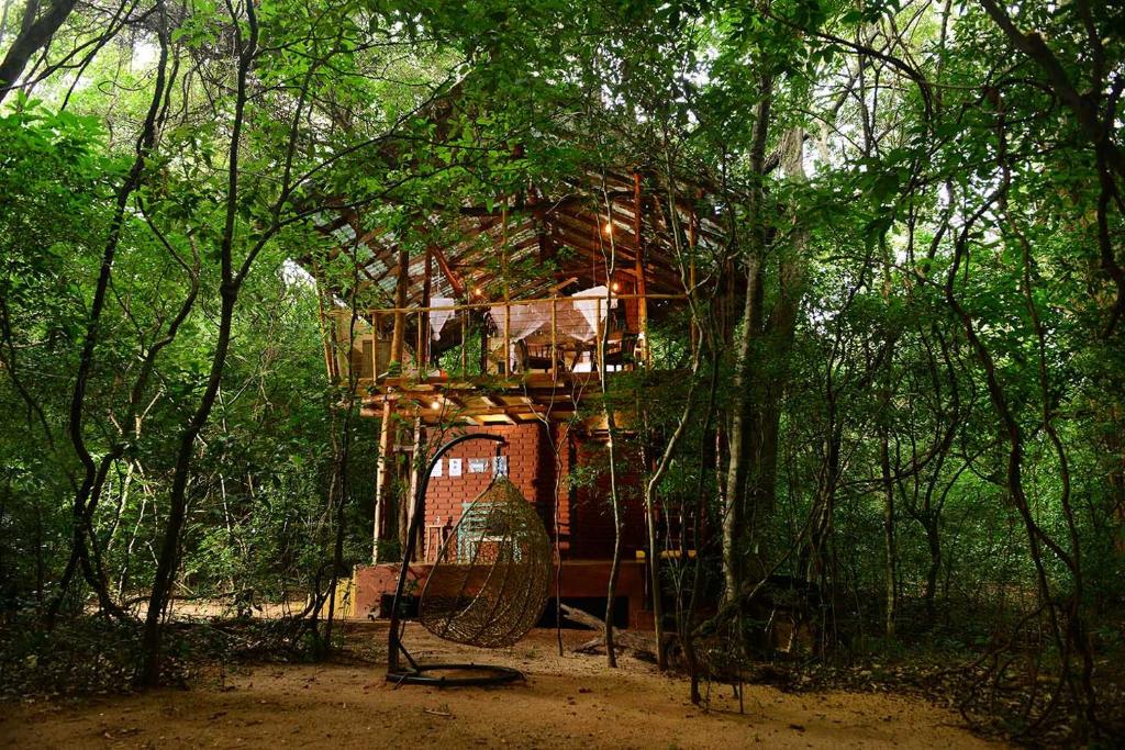 Tree House - Double Occupancy