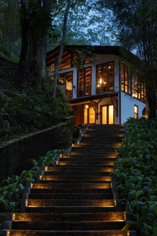 Whole Villa