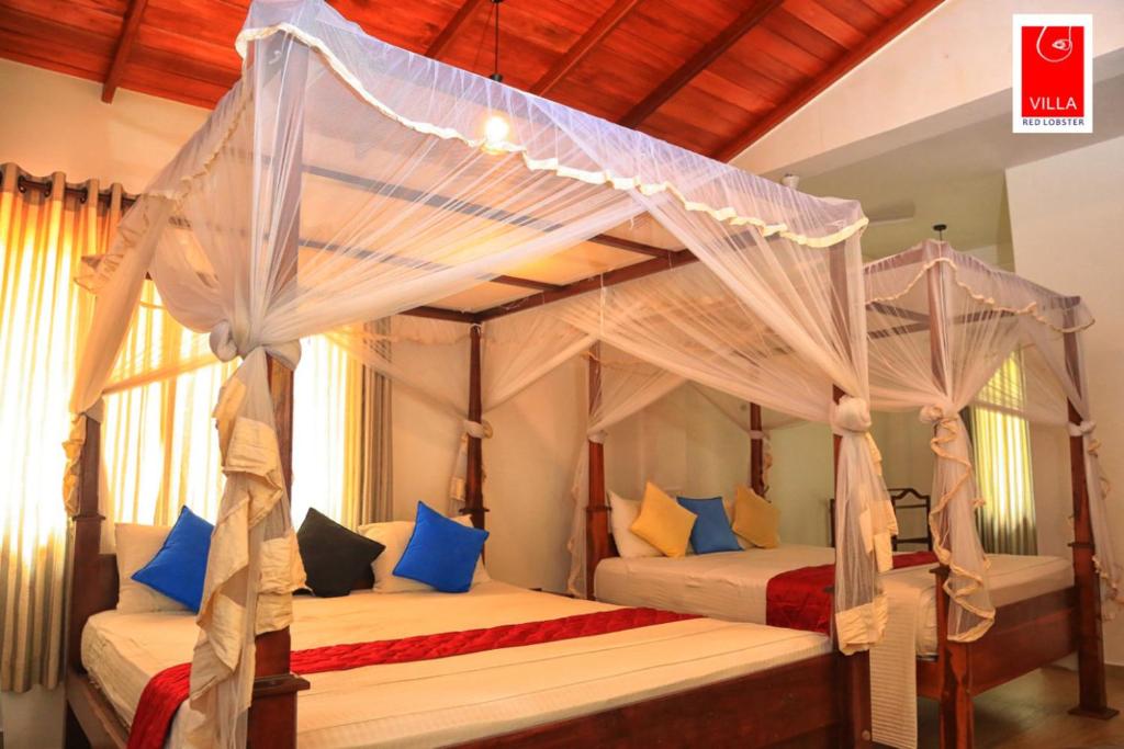 Deluxe Quadruple Room
